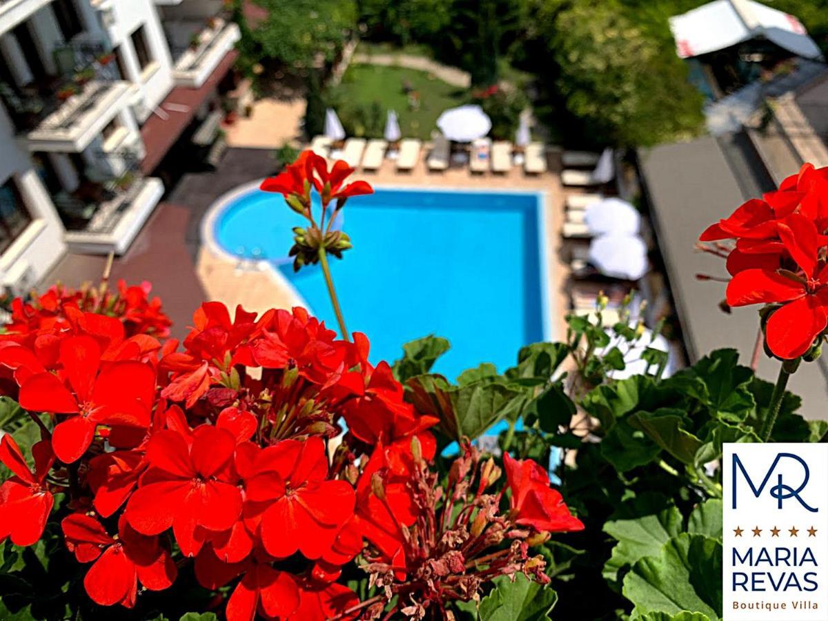 Villa Maria Revas Slăntjev Brjag Exteriör bild